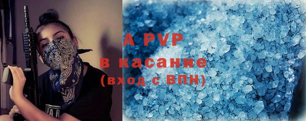 прущие крисы Верея