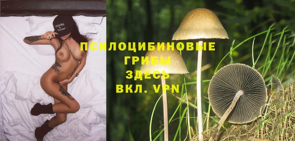 индика Бронницы