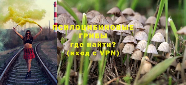 прущие крисы Верея