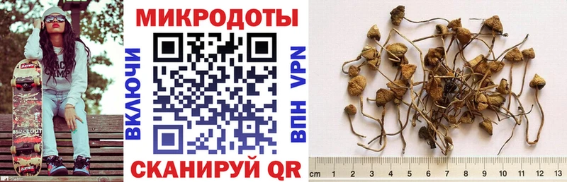 Галлюциногенные грибы прущие грибы  Володарск 