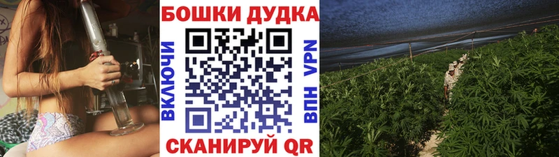наркотики  Володарск  Конопля план 